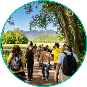 paseo-por-el-real-gif