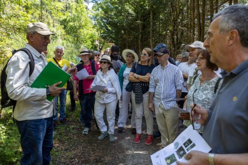 K4A6758